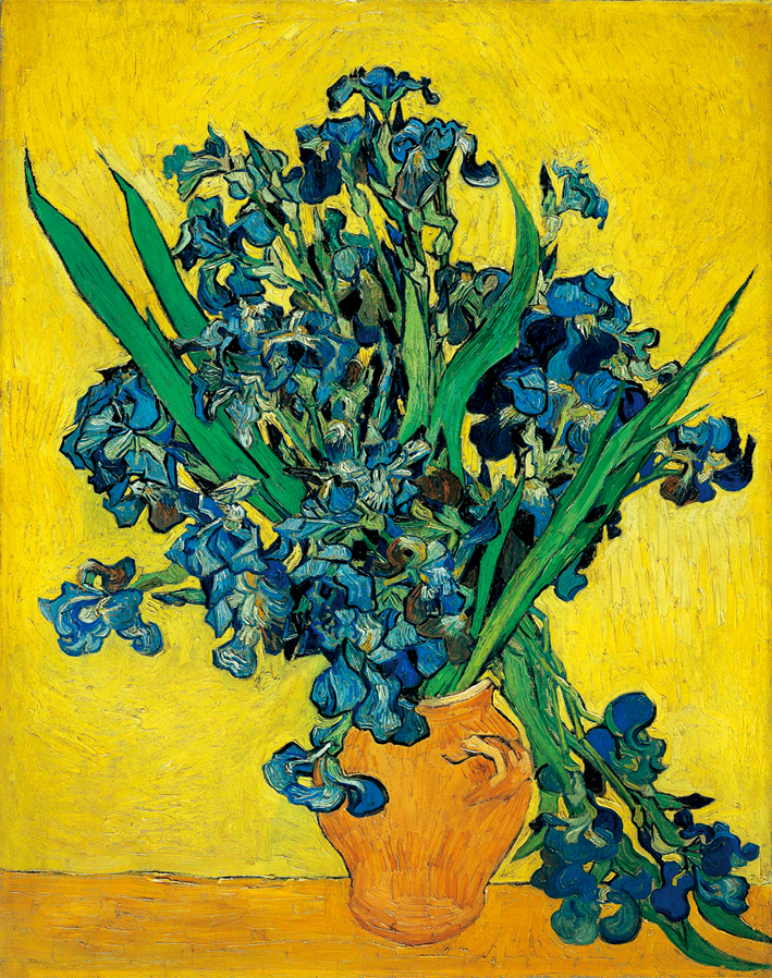  文森特·威廉·梵高  Vincent Willen Van Gogh —— 鸢尾花 (2)